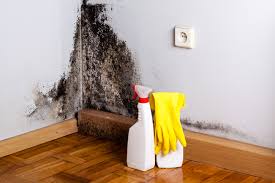 Best Asbestos and Lead Testing During Mold Inspection  in Pepper Pike, OH